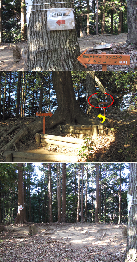 20170126hike (37)